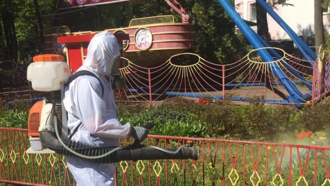 Жителей Йошкар-Олы этой ночью просят не посещать Центральный парк