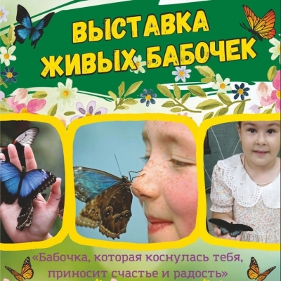 Выставка живых бабочек