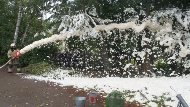 В Марий Эл за неделю произошло девять возгораний