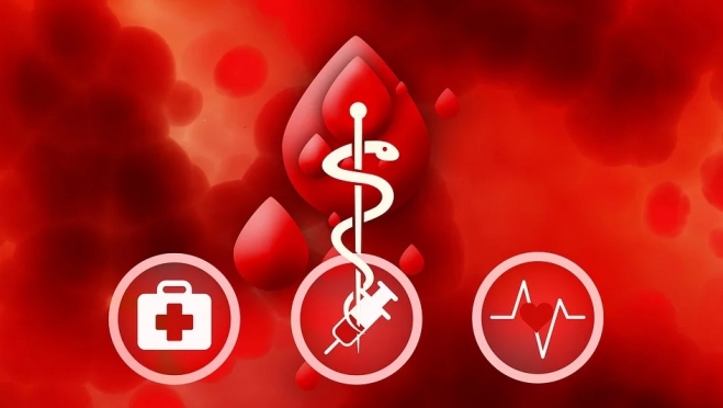 В Йошкар-Оле пройдет финальный этап донорского марафона