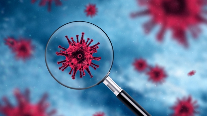 За прошедшие сутки COVID-19 подтверждён у 26 жителей Марий Эл