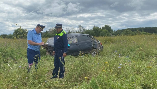 В Новоторъяльском районе пьяный водитель перевернулся в кювет