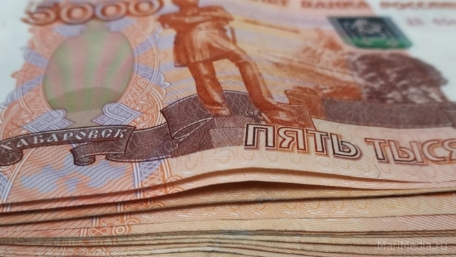 Из-за лжебанкиров йошкаролинец лишился более 350 тысяч рублей