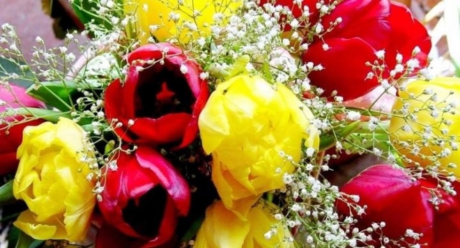 Радуга цветов