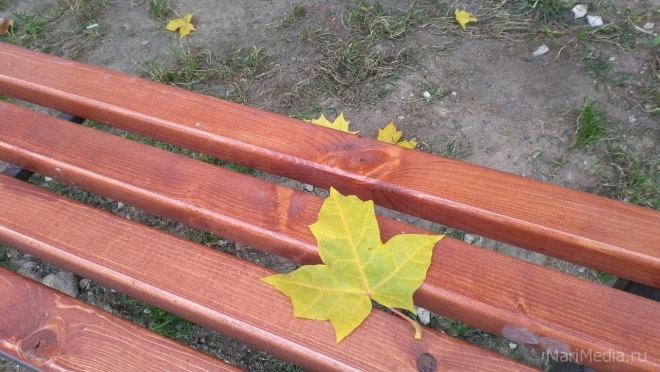 В выходные в Марий Эл будет тепло и сухо