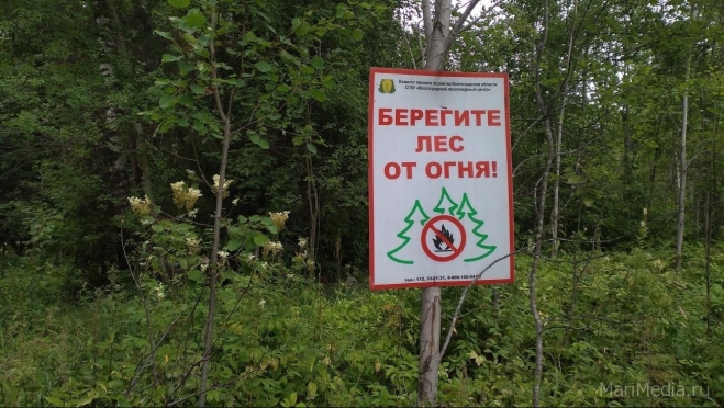 В Юринском районе горел лес