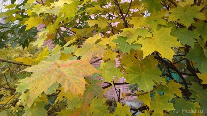 Октябрь выдался аномально тёплым