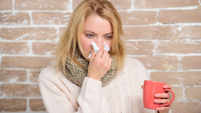 В Марий Эл за неделю 87 человек заболели гриппом