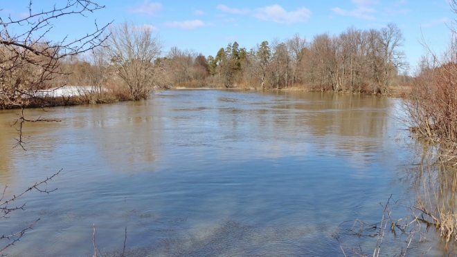 В Марий Эл установится тёплая весенняя погода