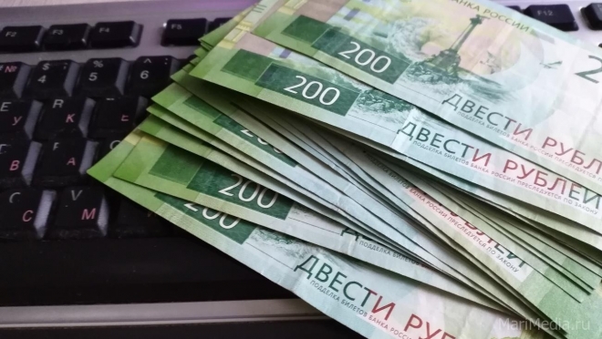 Йошкаролинка, пытаясь заработать на инвестициях, потеряла больше 1 млн рублей