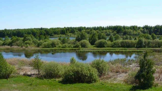 В Марий Эл определили границы памятника природы «Болото Пошкит Куп»