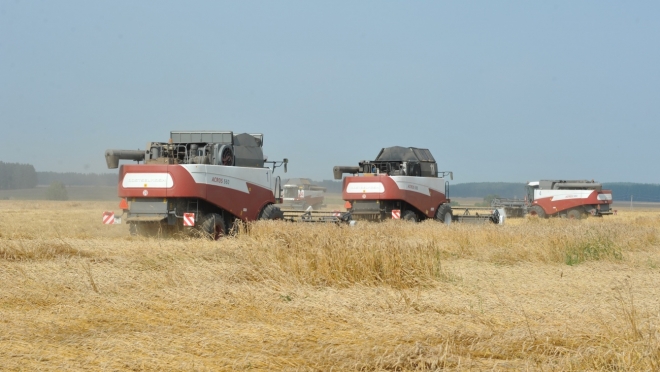 Уборочная страда в Марий Эл охватит 163 тысячи га площадей