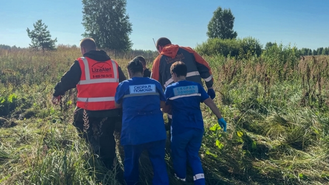Поисковики «ЛизаАлерт» Марий Эл нашли пропавшего дедушку из Татарстана в овраге