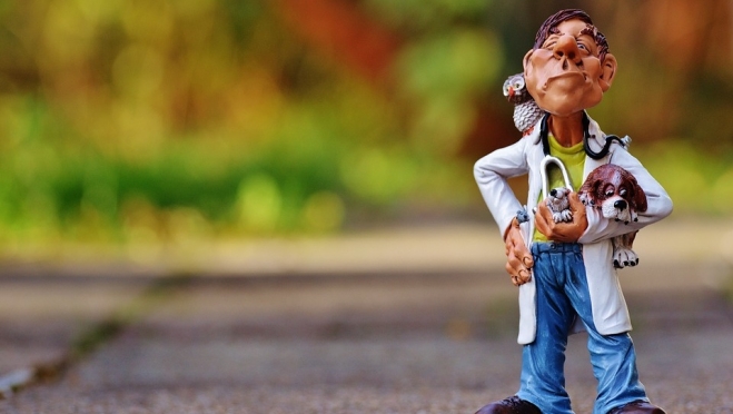 Руководителей 7 ветеринарных станций Марий Эл обвиняются в крупной растрате