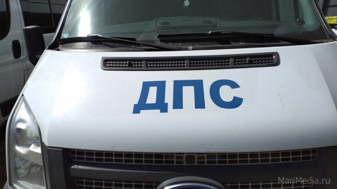 В Новоторъяльском районе иномарка наехала на мопед