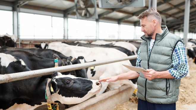 В Марий Эл свой праздник сегодня отмечают работники АПК