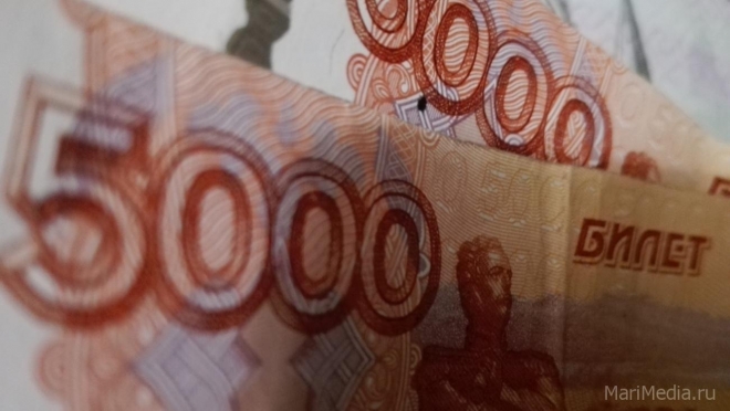 В Марий Эл уголовное дело прекратили, получив от обвиняемого 84,5 млн рублей