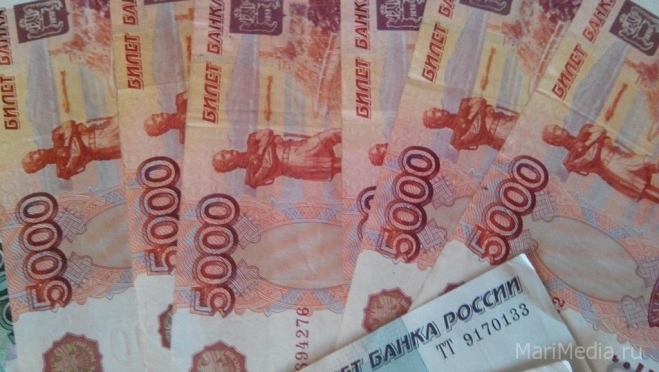 Долги предпринимателей Йошкар-Олы выросли до 175 млн рублей