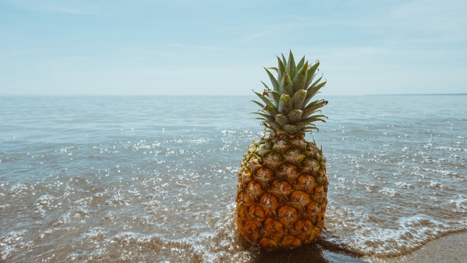 Фрукты, овощи и цветы будут провозить через госграницу по новым правилам