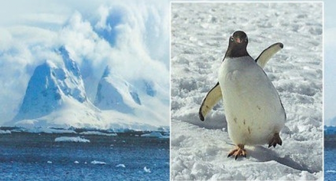 Антарктида