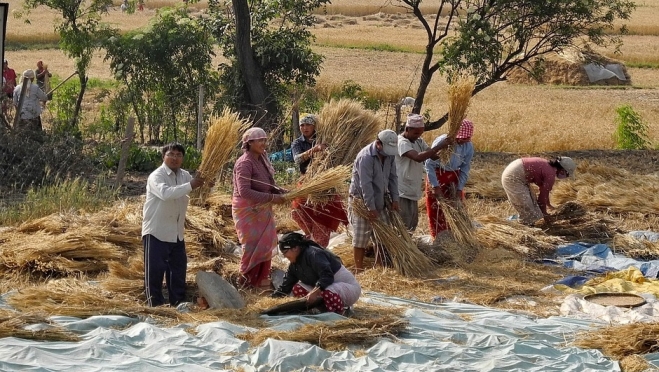 Половина жителей России не работают по специальности