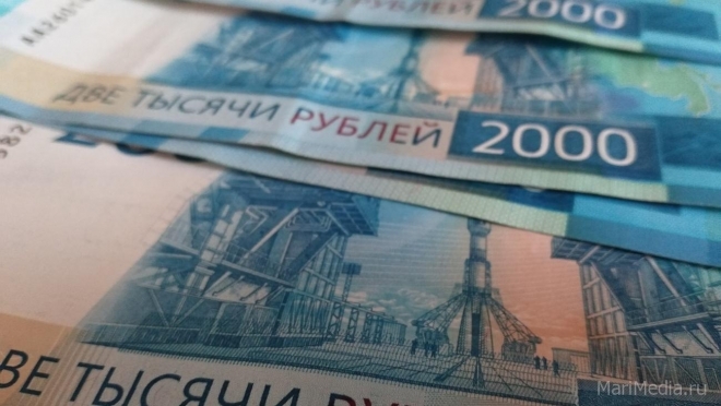 В Марий Эл за месяц долги по зарплате выросли на 350 тысяч рублей