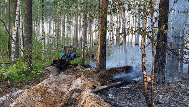 В Звениговском районе произошёл лесной пожар