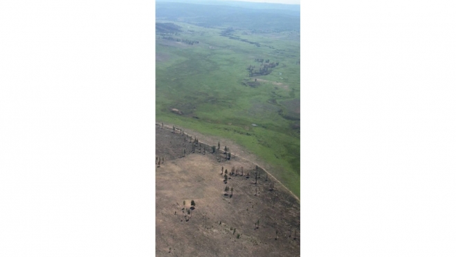 Пожарные парашютно-десантной службы Марий Эл участвуют в тушении крупного пожара в Забайкалье