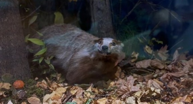 Тот самый музей