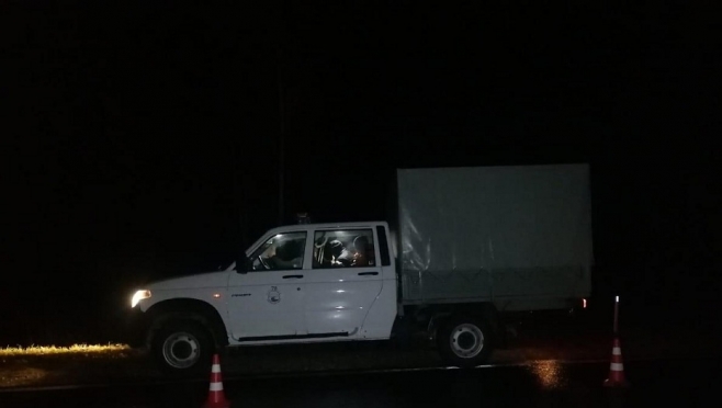 Водитель «УАЗа» сбил пьяного пешехода в Медведевском районе