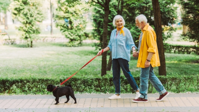 В Марий Эл утвердили программу «Активное долголетие»