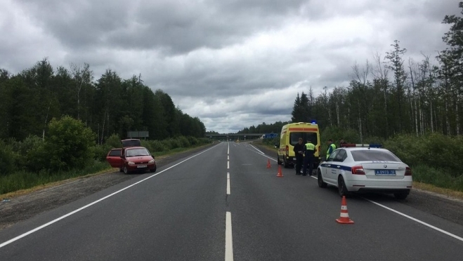 В Медведевском районе сбили велосипедиста