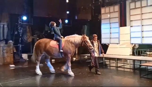 На сцену театра оперы и балета в Йошкар-Оле выйдут лошадь Алиса и охотничьи собаки