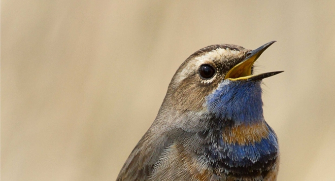 Природа смотрит на тебя