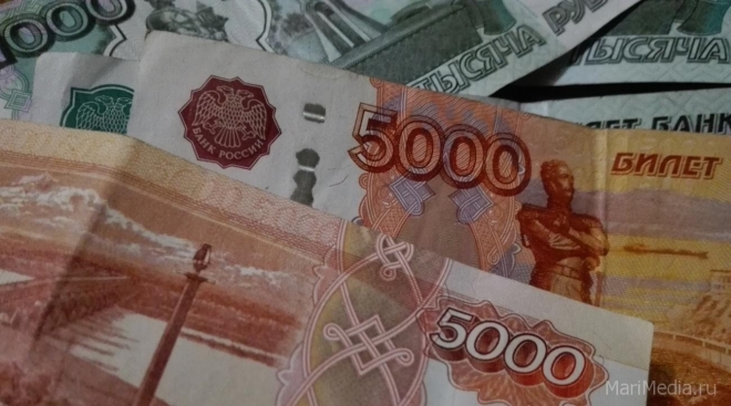 Марий Эл получит 2 млрд рублей на переобучение декретниц