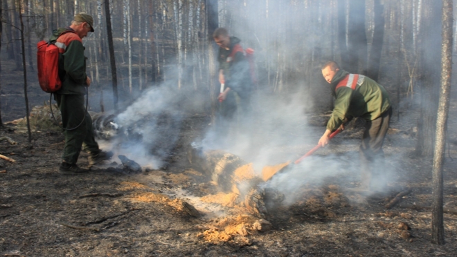 В лесах Марий Эл сохраняется IV класс пожароопасности