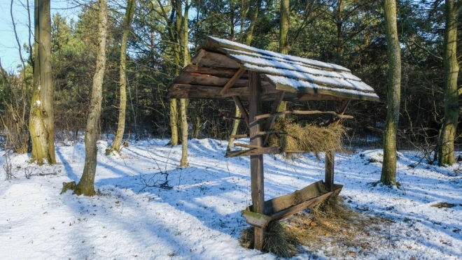 Специалисты Россельхознадзора побывали в охотхозяйствах Марий Эл