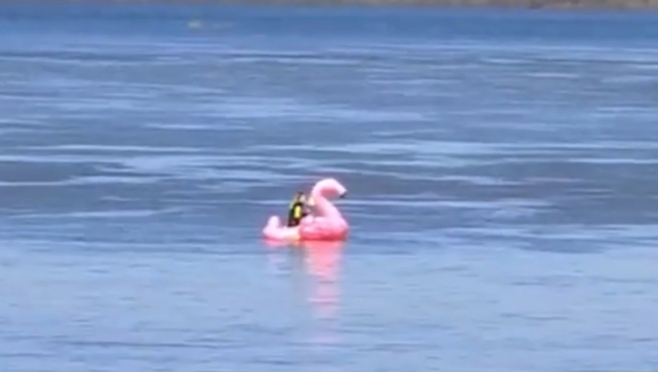 На Волге спасали любительницу хайпа на надувном фламинго