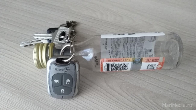 Сегодня ночью в Марий Эл задержали 6 пьяных водителей