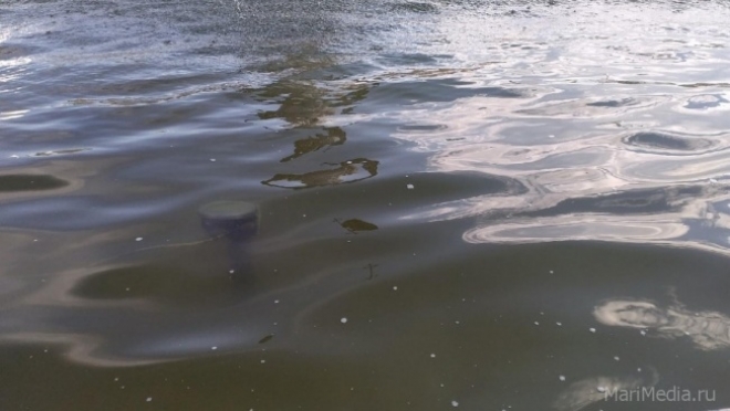 На реке Малая Кокшага утонул мужчина