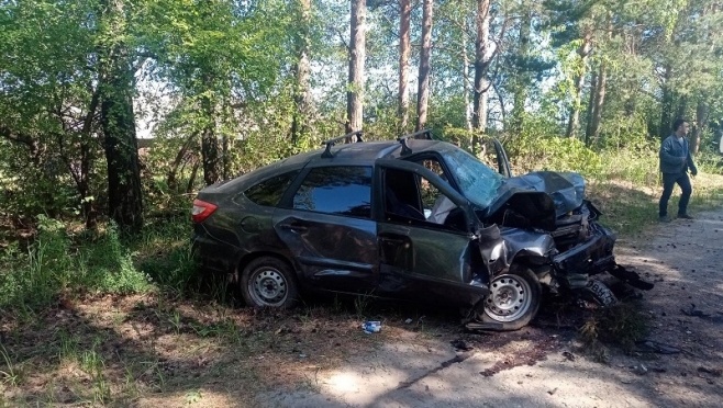В Мари-Турекском районе разбился 45-летний водитель