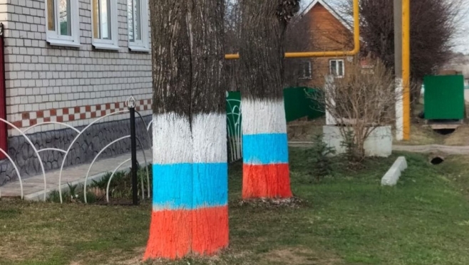 В посёлке Мари-Турек в цвета флага покрасили деревья