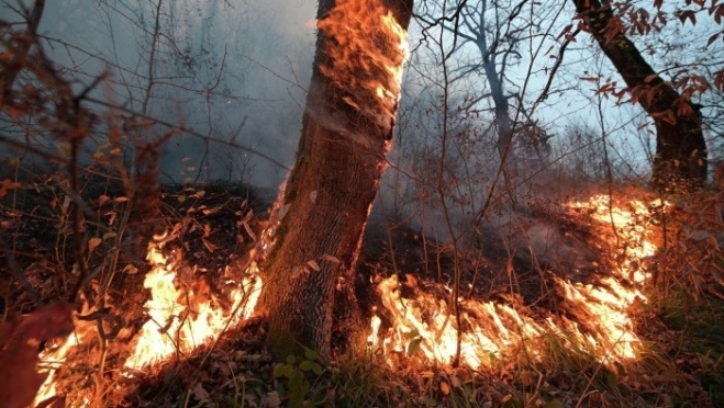 В зоне лесного пожара дежурит аварийная служба «Газпром газораспределение Йошкар-Ола»