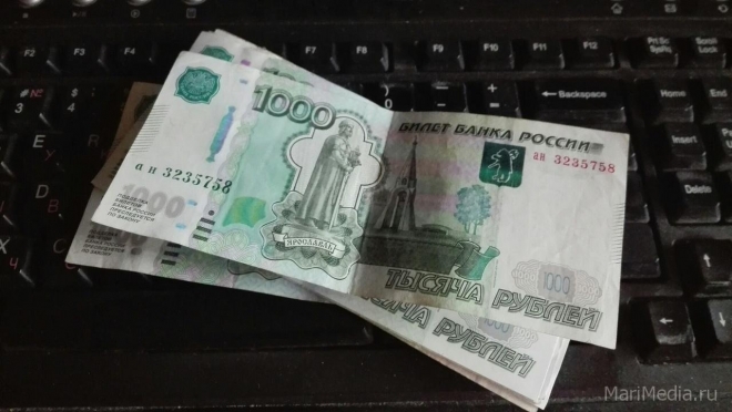 В Марий Эл за месяц задолженность по зарплате сократилась на 3 000 рублей