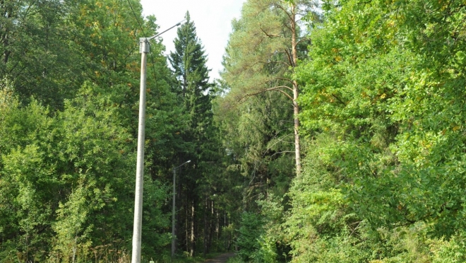 Ремонт лыжероллерной трассы в Корте должны закончить к 7 октября