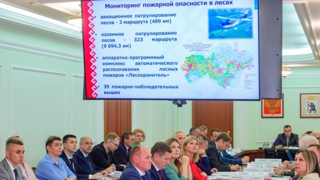 В Марий Эл снизилось количество лесных пожаров