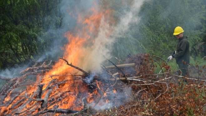 В лесах Марий Эл объявлен 4 класс опасности возникновения пожаров