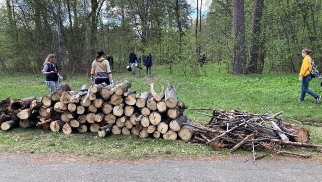 В Сосновой роще Йошкар-Олы  проведут уборку