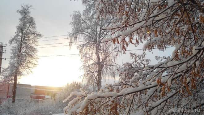 В Марий Эл в третьей декаде декабря ожидается до -33 ºС
