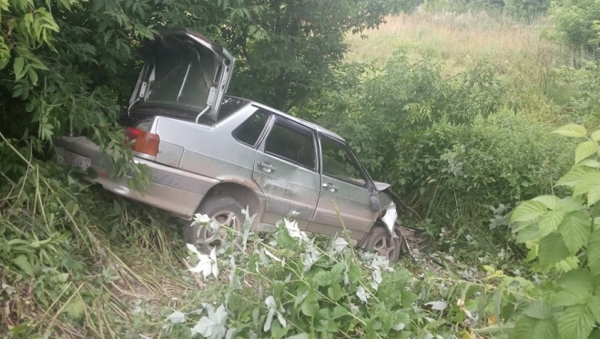 В Новом Торъяле водитель врезался в дерево
